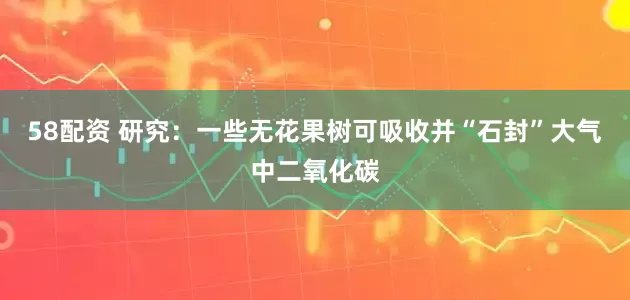 58配资 研究：一些无花果树可吸收并“石封”大气中二氧化碳