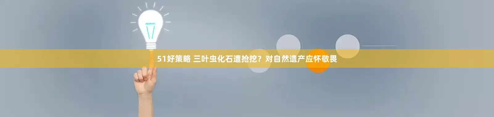 51好策略 三叶虫化石遭抢挖？对自然遗产应怀敬畏